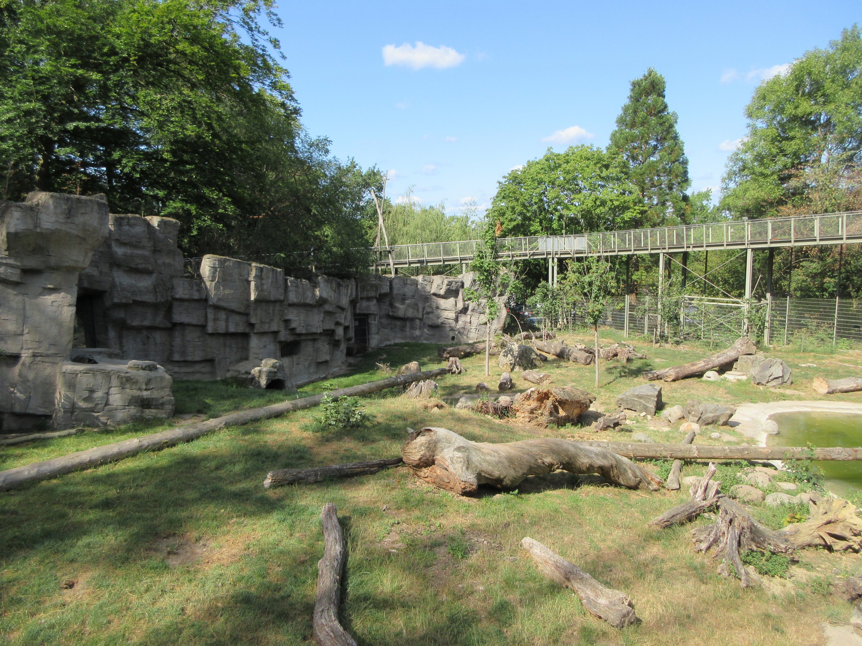 Kajanaland - Hybrid Bear + Silver Fox Exhibit