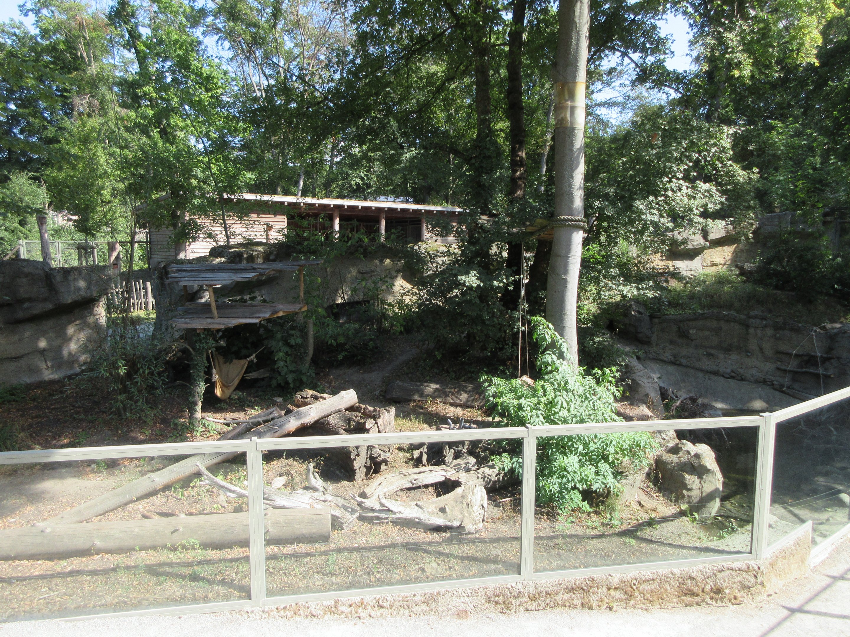 Kajanaland - Raccoon/European Mink Exhibit
