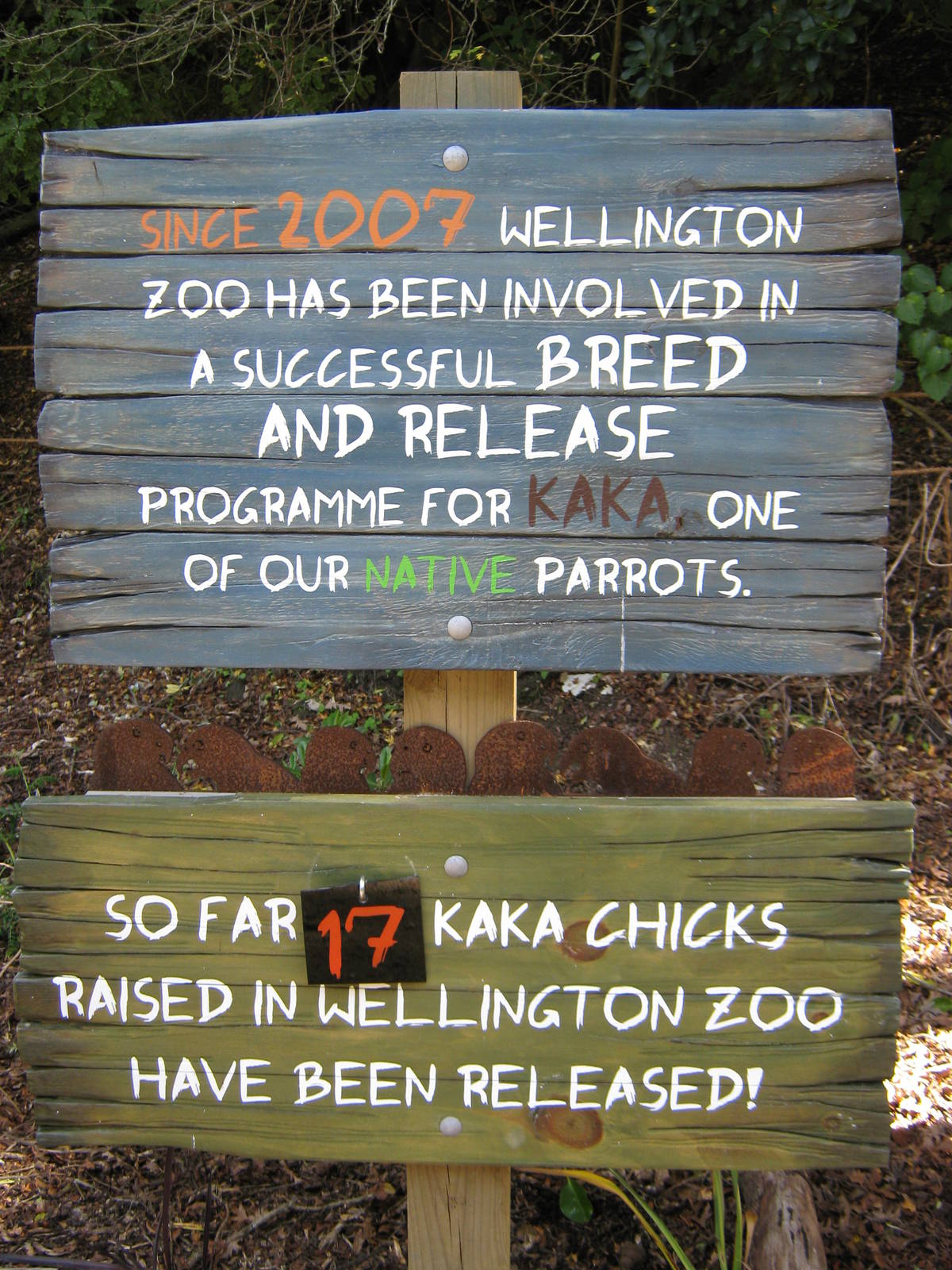 kaka breeding sign