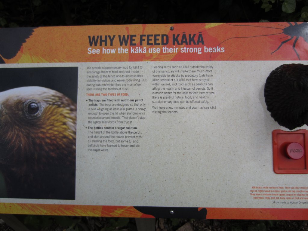 Kaka Signage