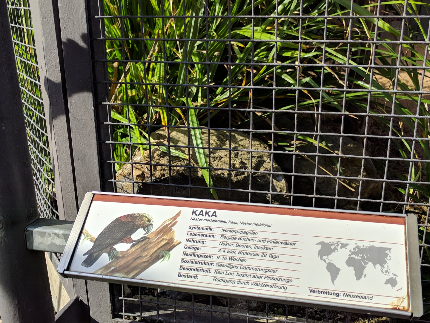 Kaka Signage