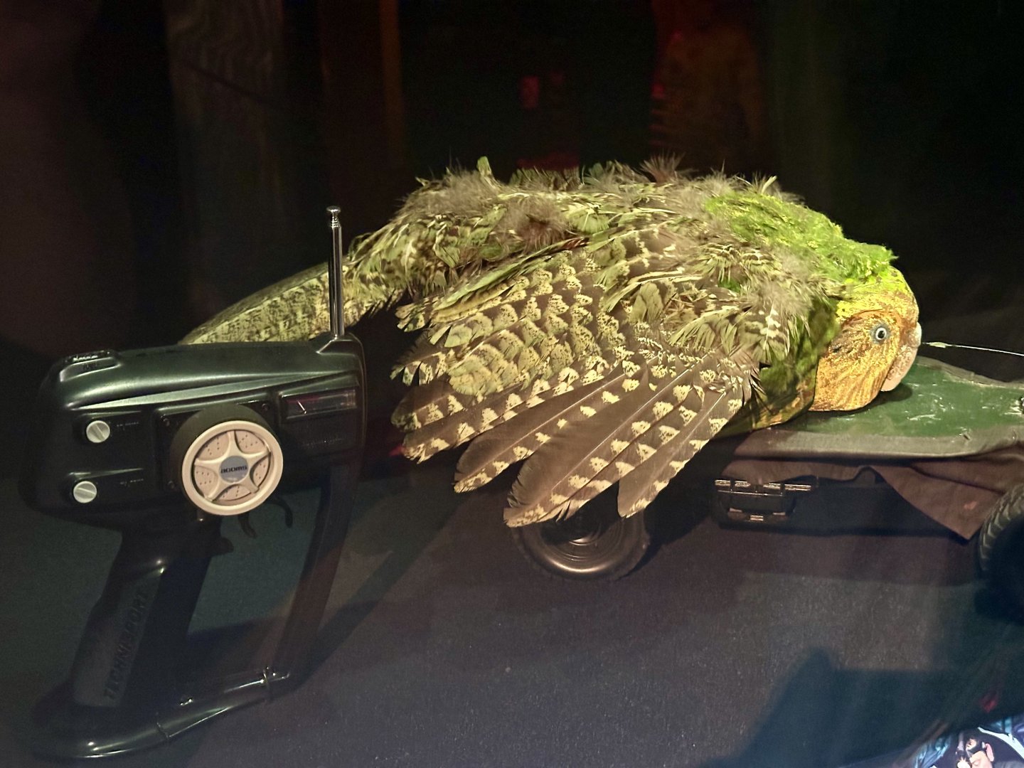 Kakapo - Mating Lure