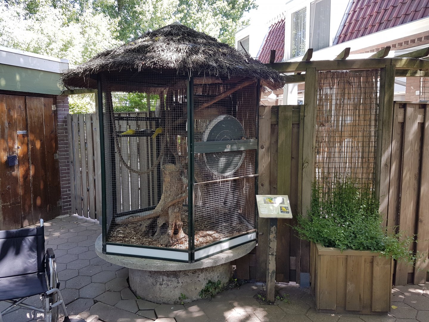 Kakariki-aviary - Former Japanese squirrel-enclosure