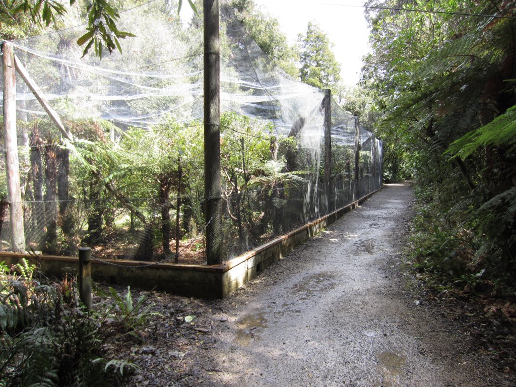 Kakariki Aviary