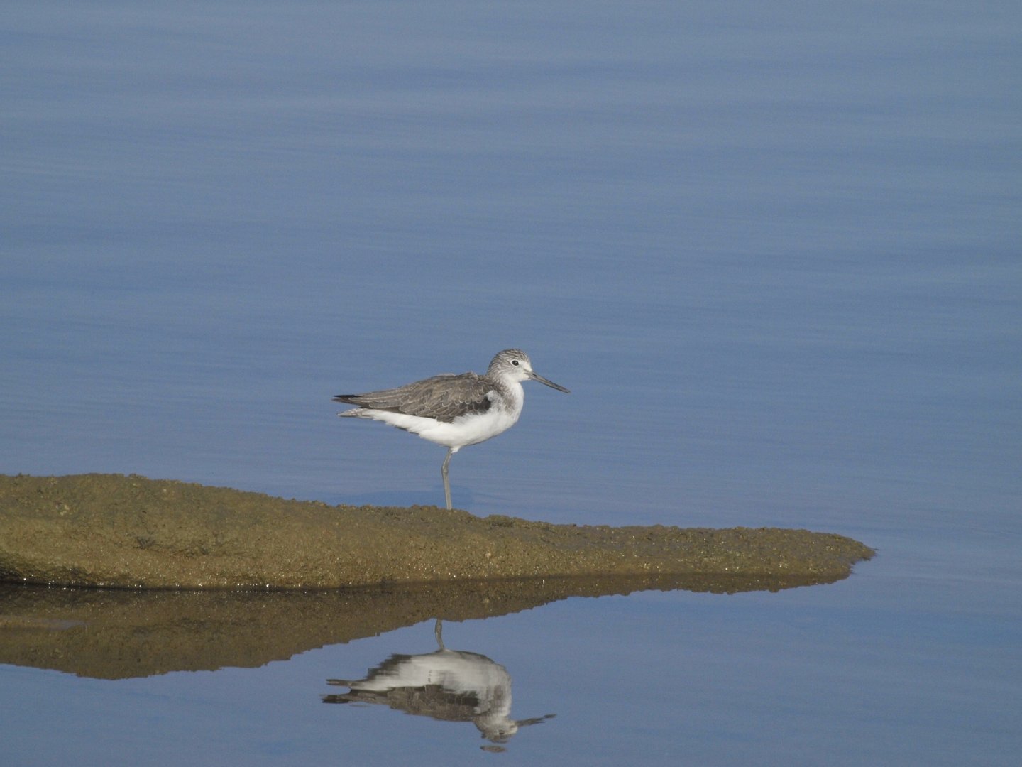 Kalbarri, Western Australia