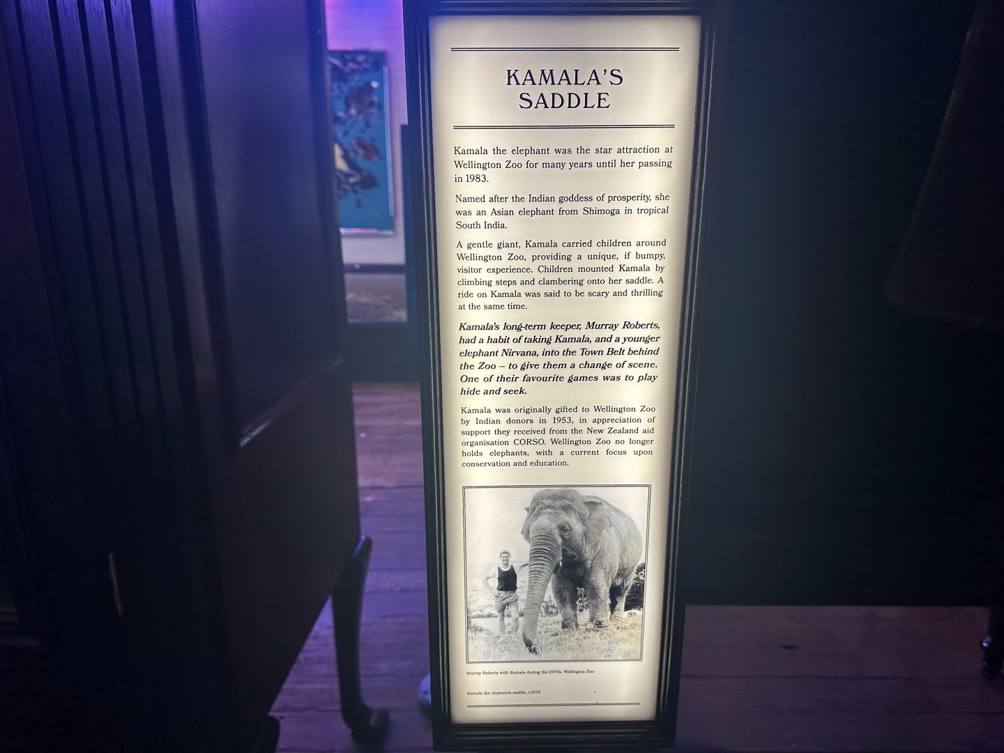 Kamala’s Saddle - Info Board