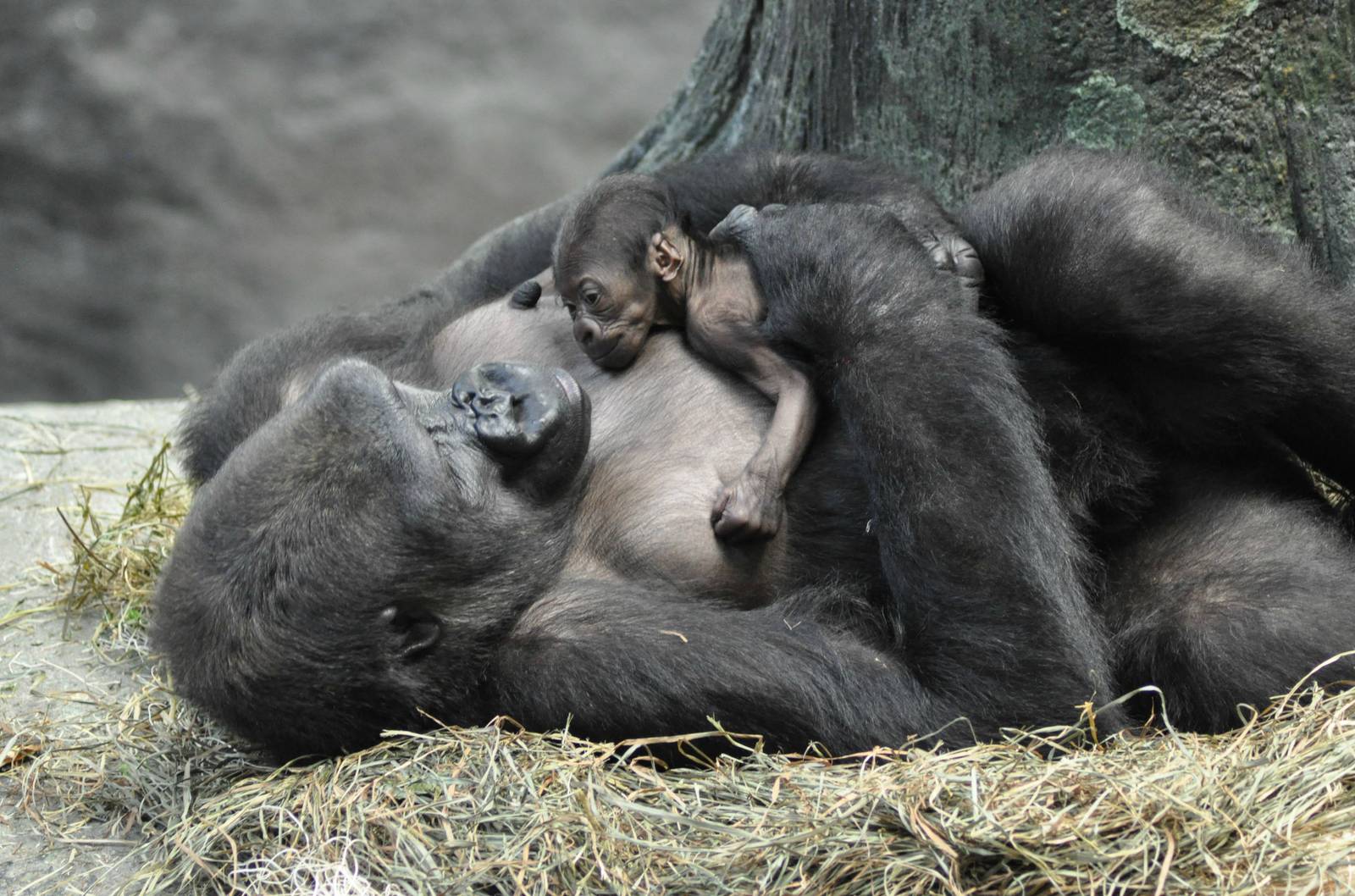 Kamba and Zachary 9/26/15