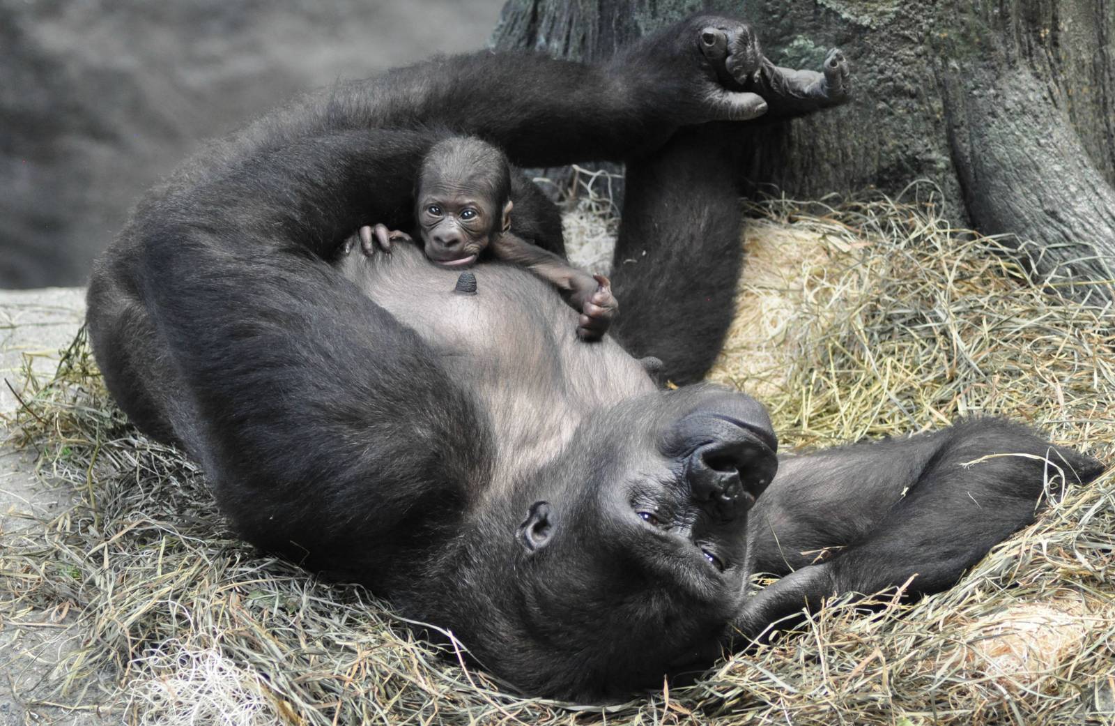 Kamba and Zachary 9/26/15