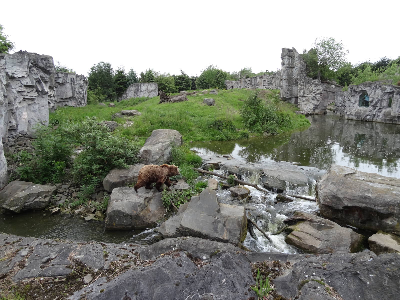 Kamchatka bear enclosure
