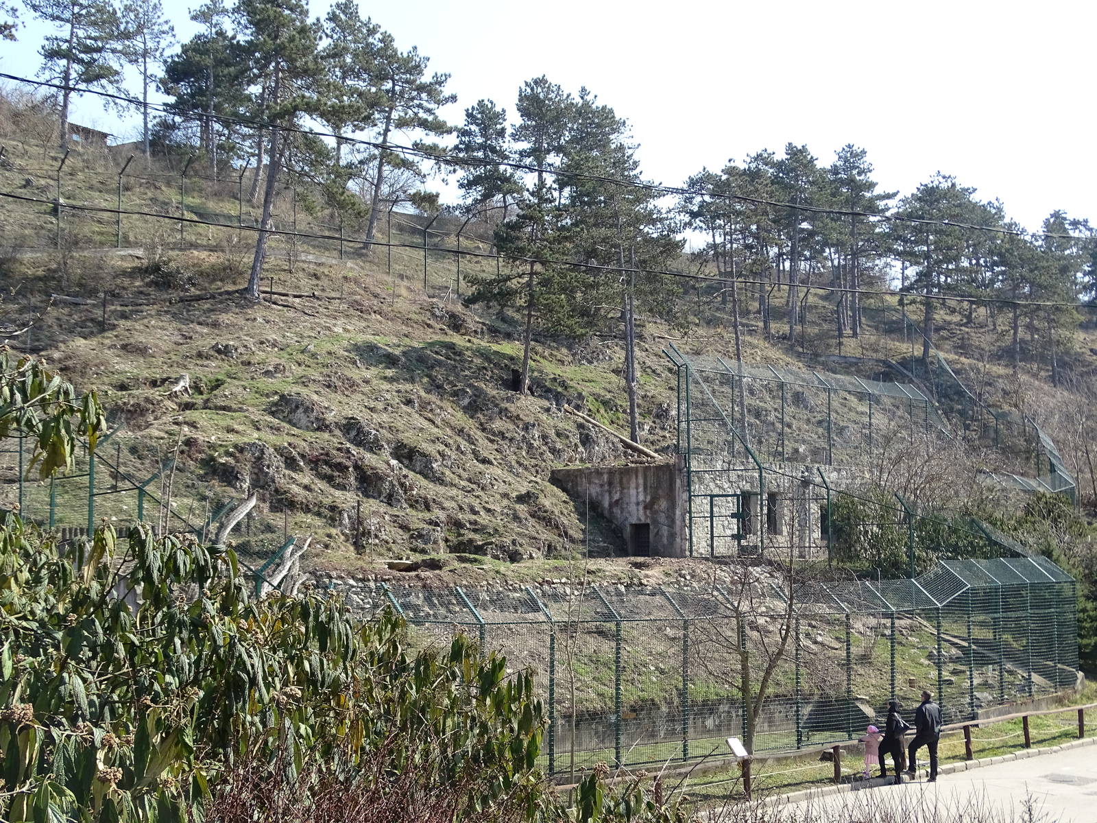 Kamchatka bear enclosure