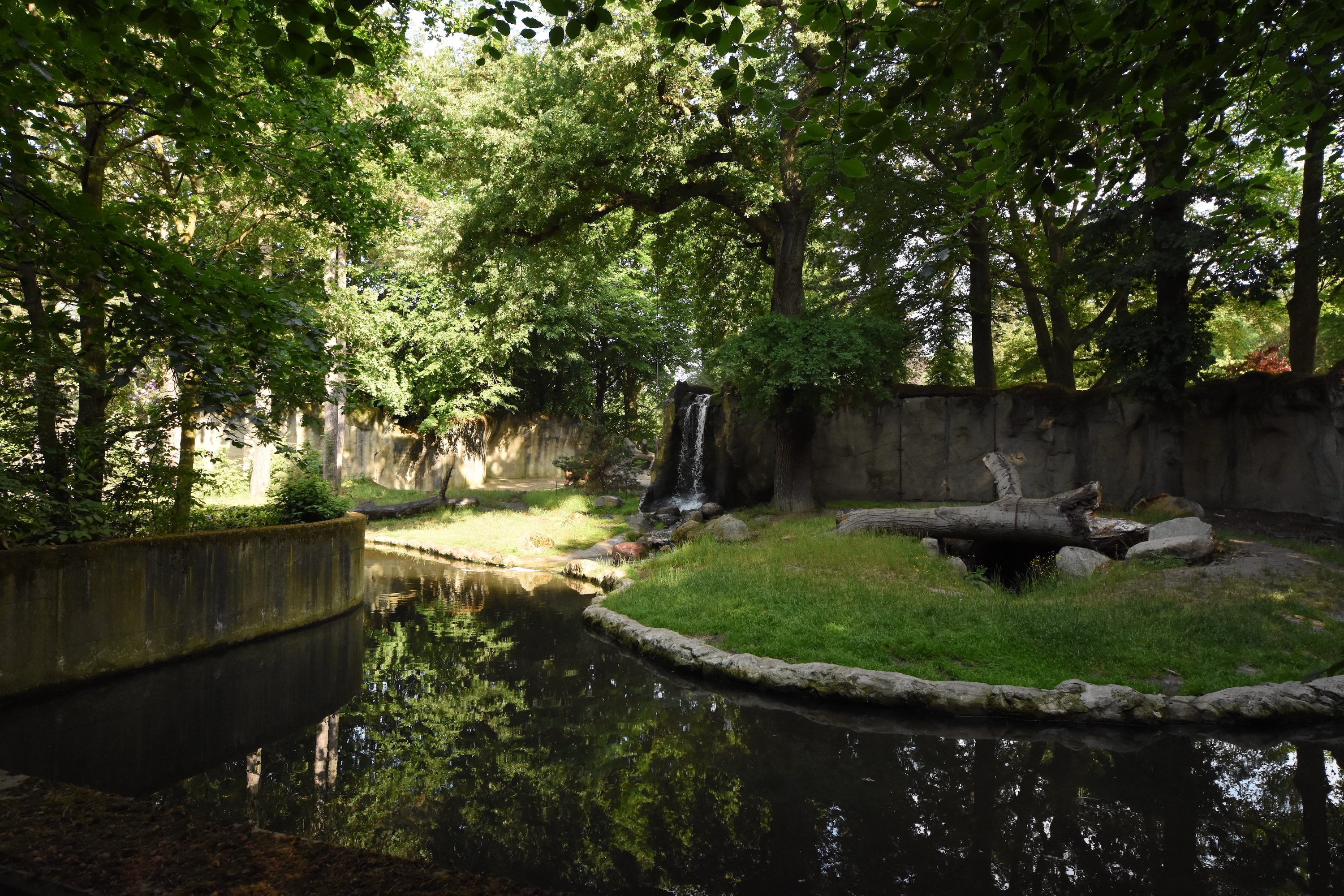 Kamchatka brown bear enclosure