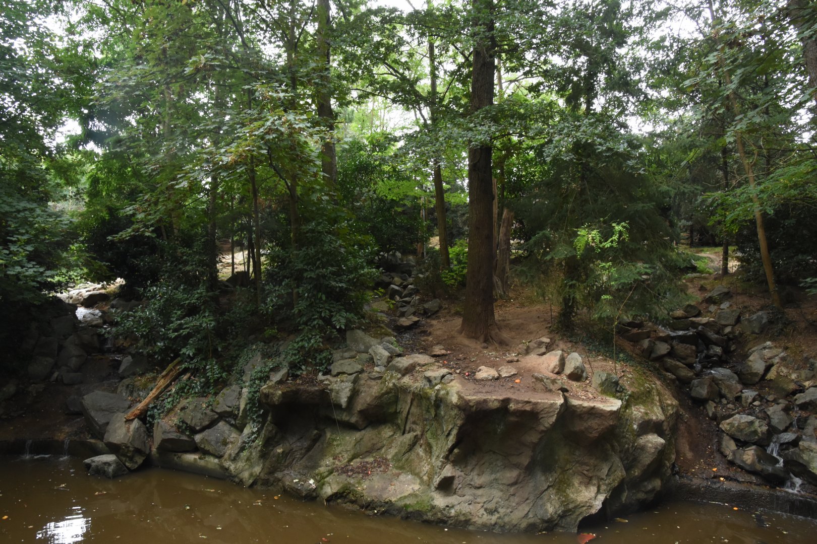 Kamchatka Brown Bear enclosure