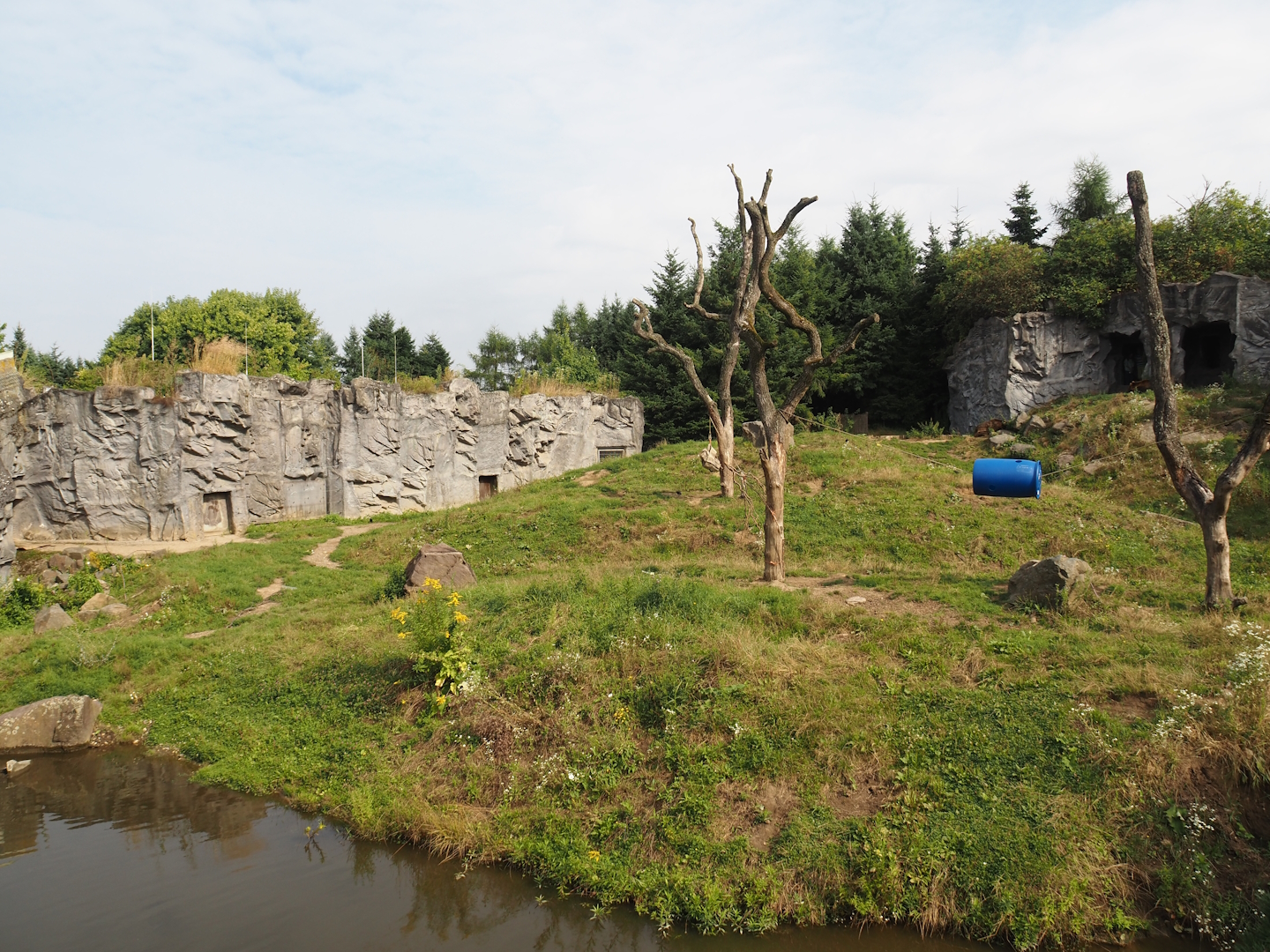 Kamchatka brown bear exhibit, 2024-08-05