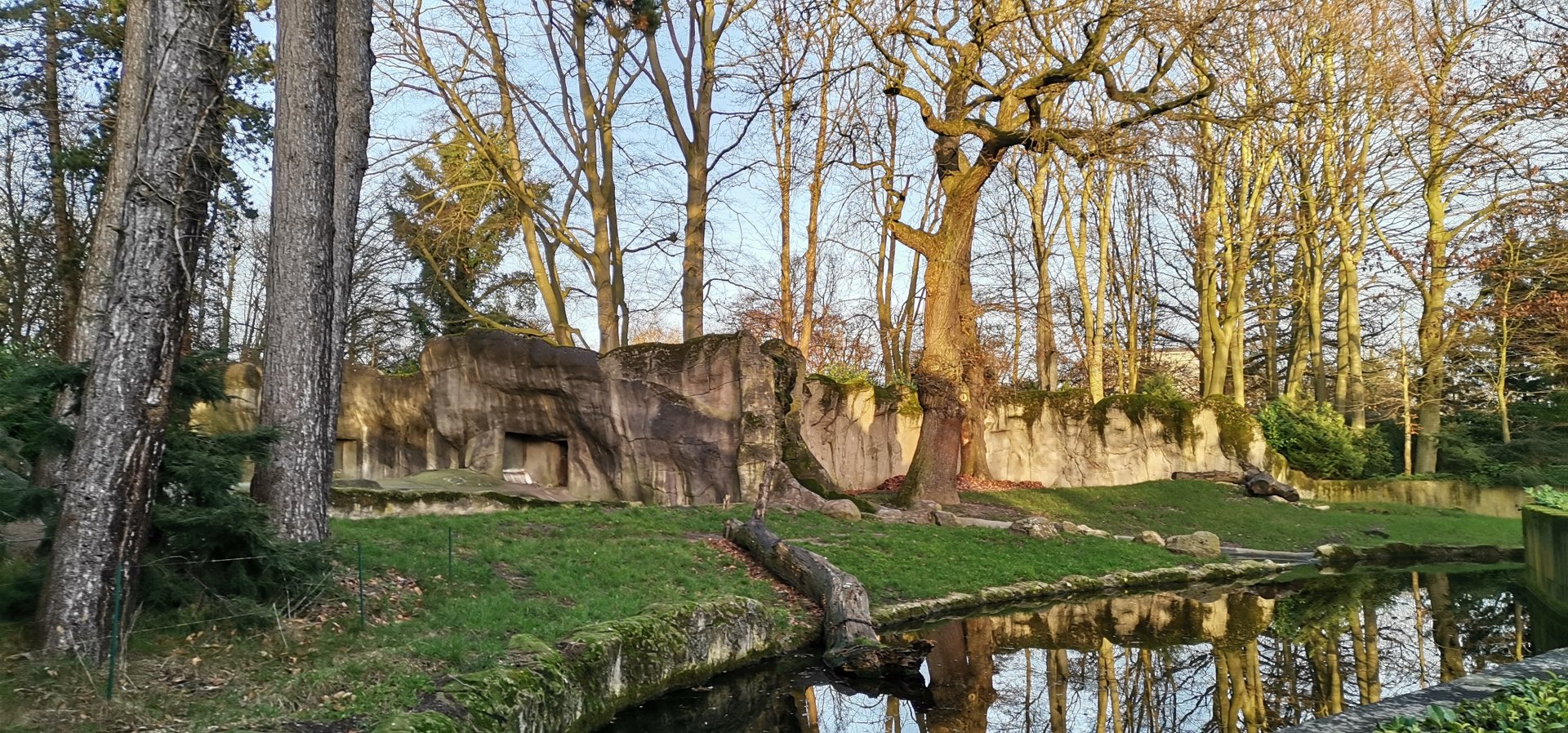 Kamchatka Brown Bear exhibit