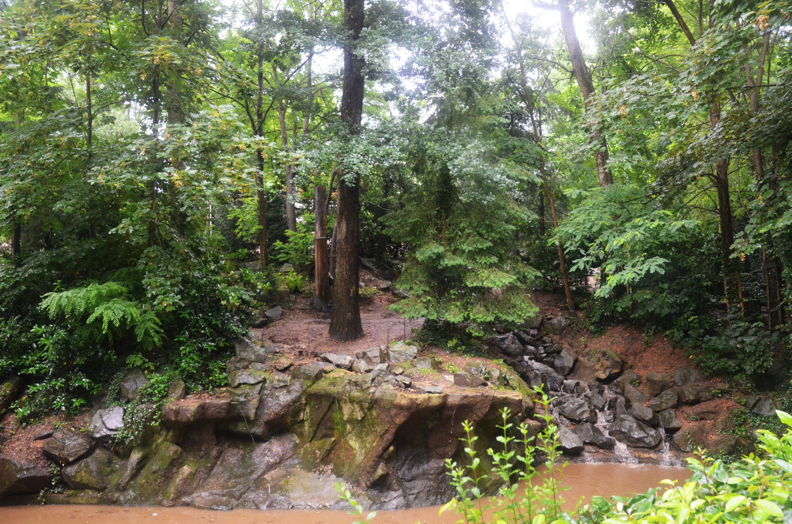 Kamchatkan Bear Enclosure at La Flèche, 11/06/18