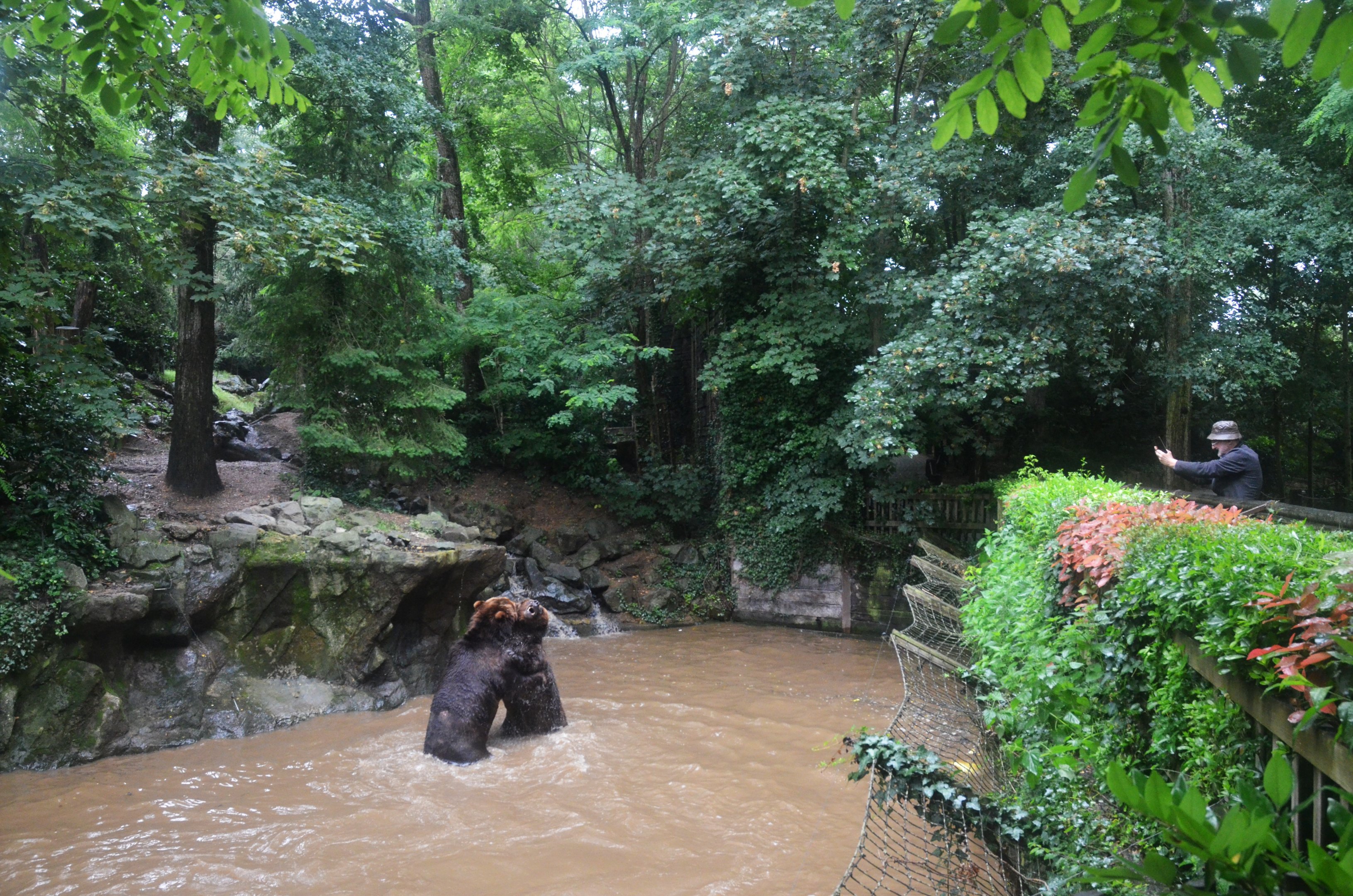 Kamchatkan Bear Enclosure at La Flèche, 11/06/18