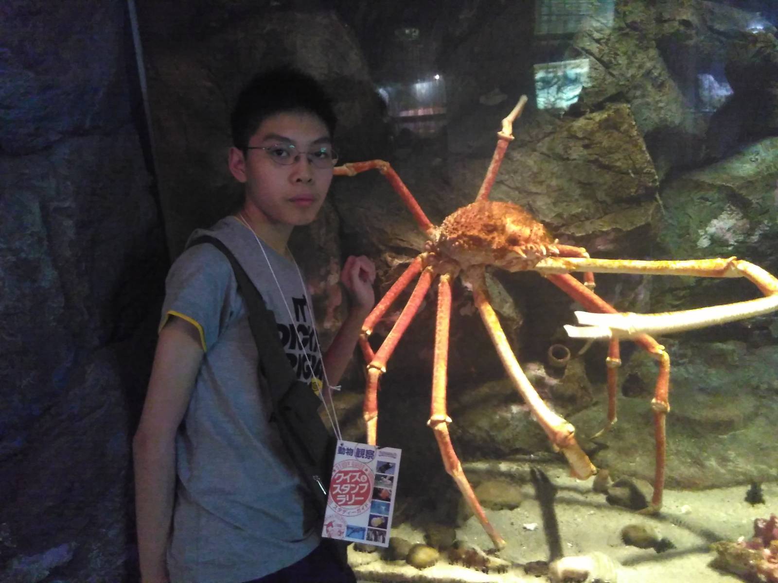 Kamogawa sea world-giant spider crab with an aardvark250