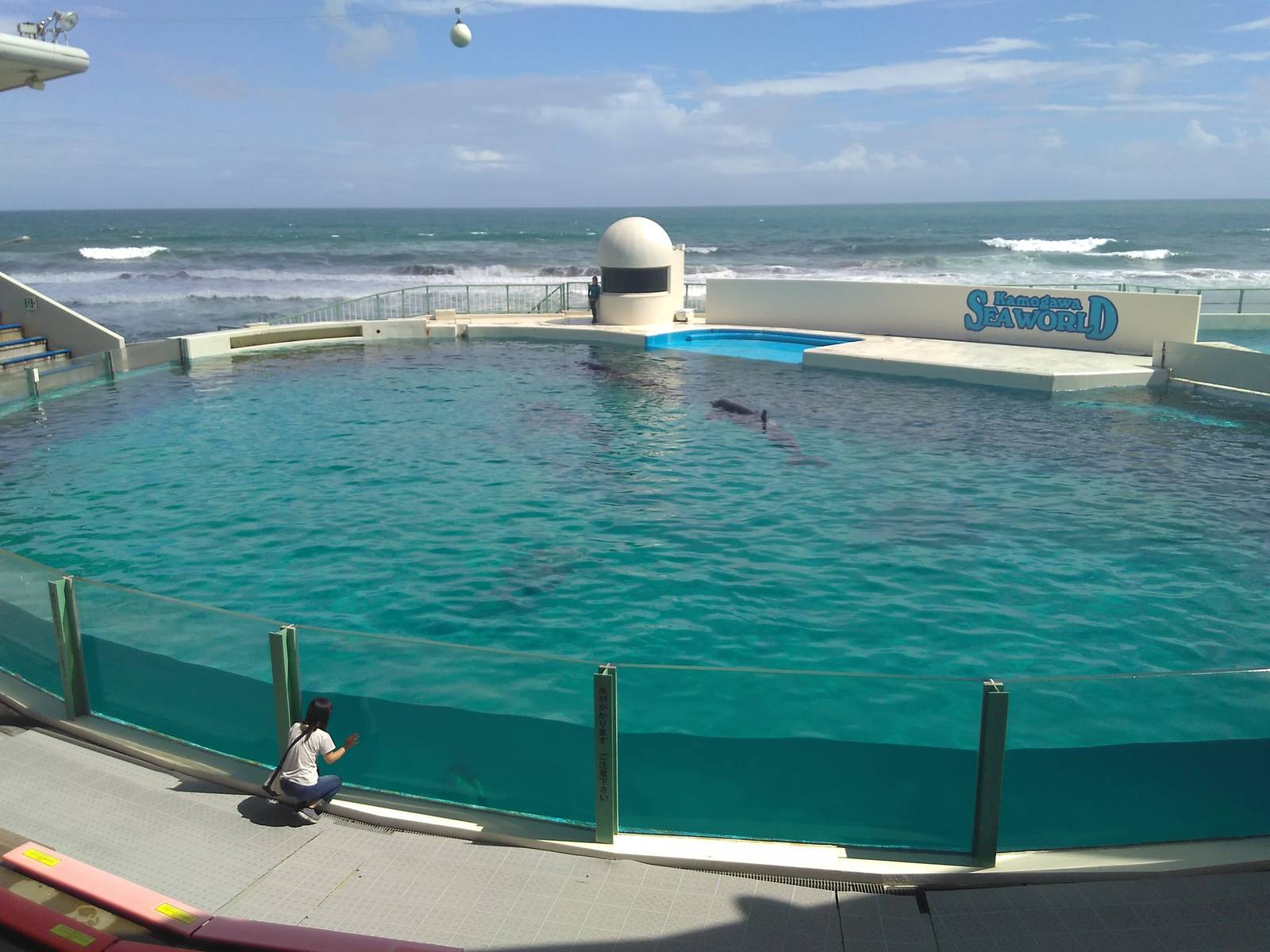 Kamogawa sea world-surprisingly small tank for four orcas