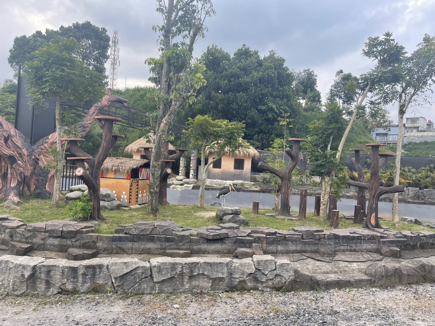 kampung satwa - marsh birds exhibit