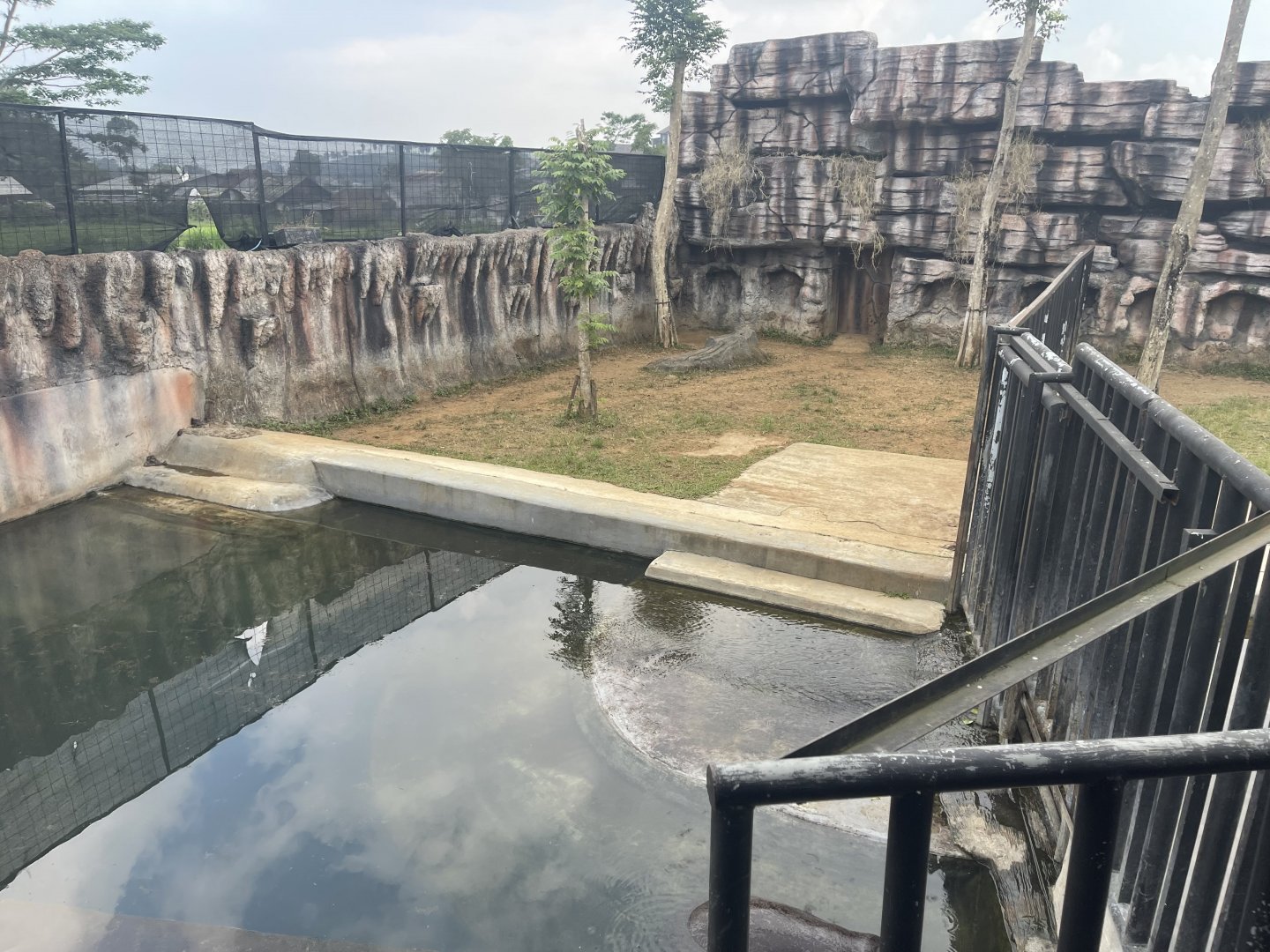 kampung satwa - pygmy hippopotamus exhibit