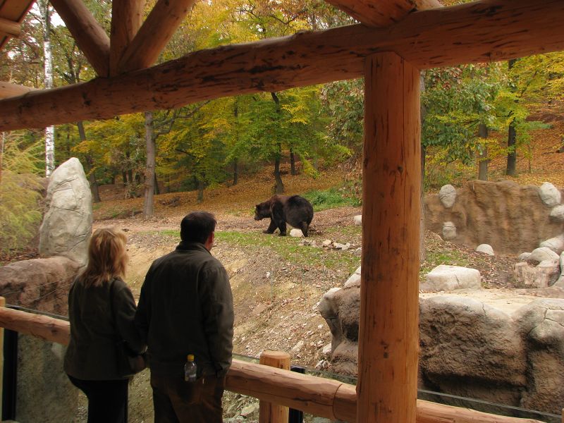 Kamtschatka bear enclosure