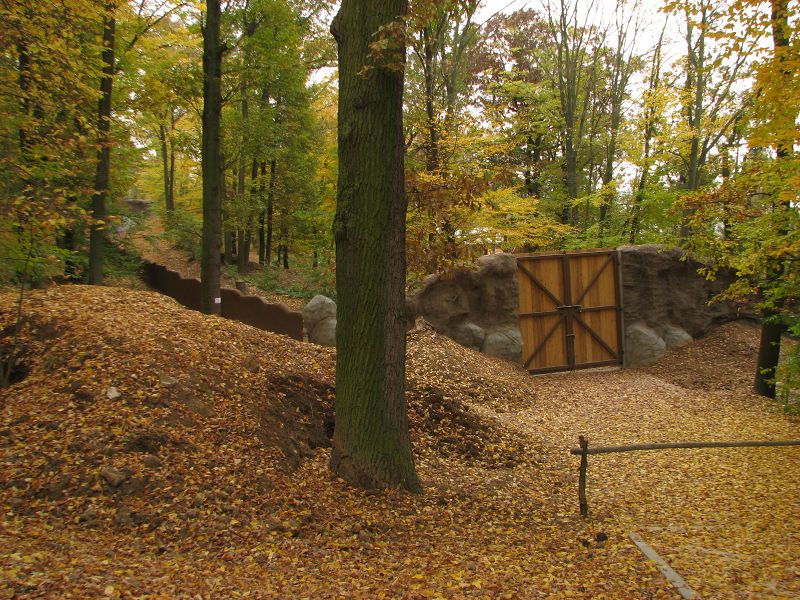 Kamtschatka bear enclosure