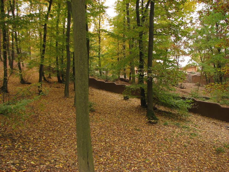 Kamtschatka bear enclosure
