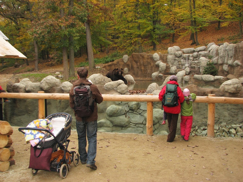 Kamtschatka bear enclosure