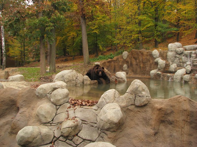 Kamtschatka bear enclosure
