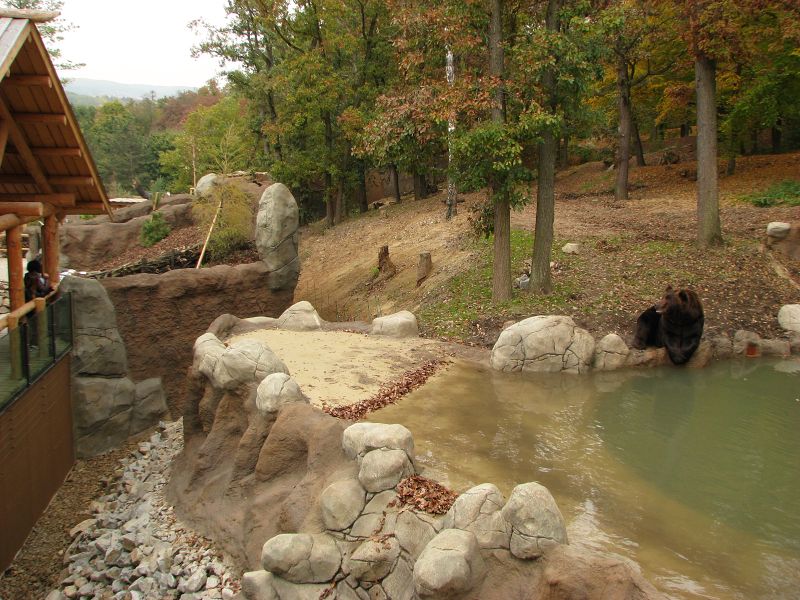 Kamtschatka bear enclosure