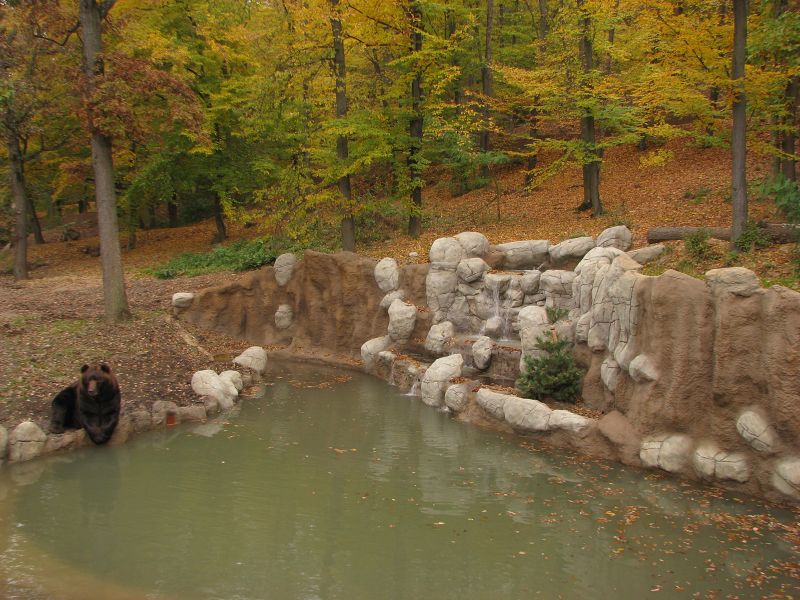 Kamtschatka bear enclosure
