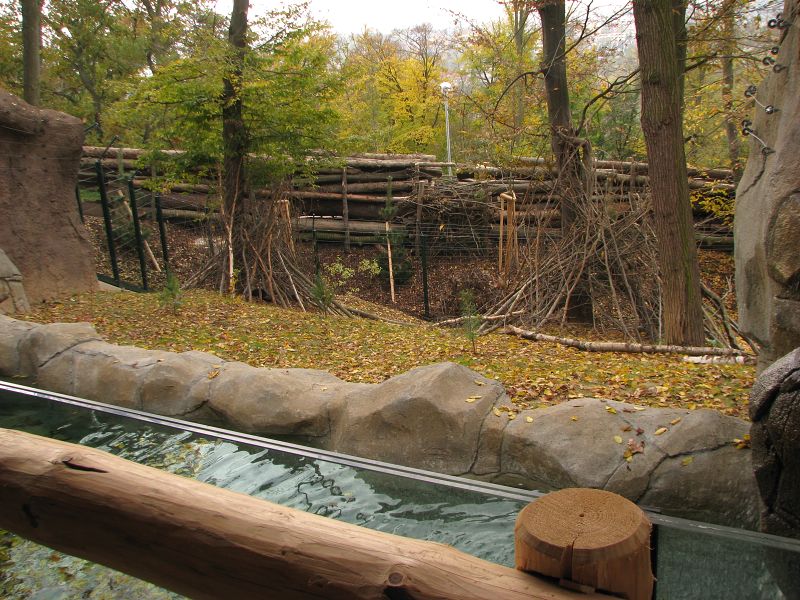 Kamtschatka bear enclosure