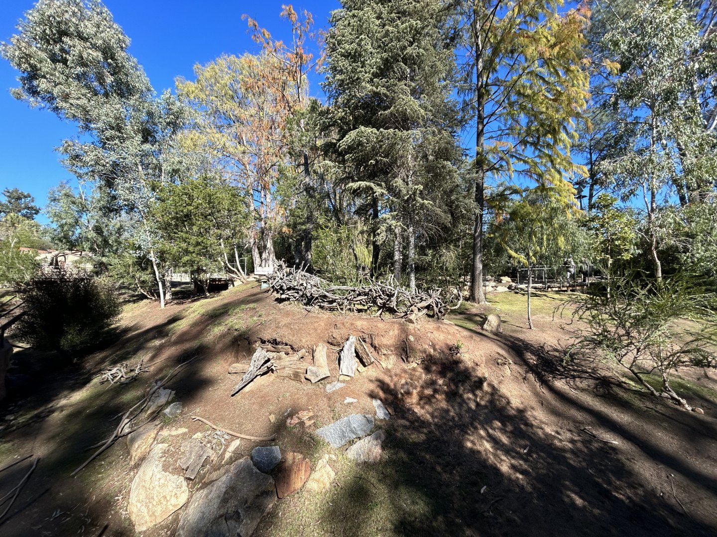 Kangaroo and Waterfowl Walkthrough - Walkabout Australia