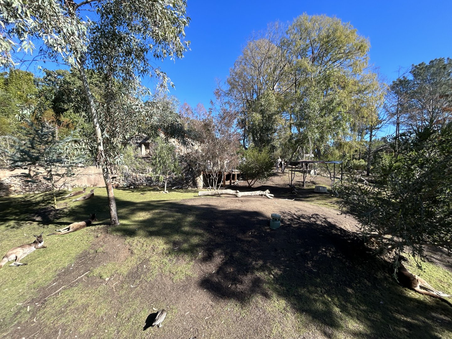 Kangaroo and Waterfowl Walkthrough - Walkabout Australia