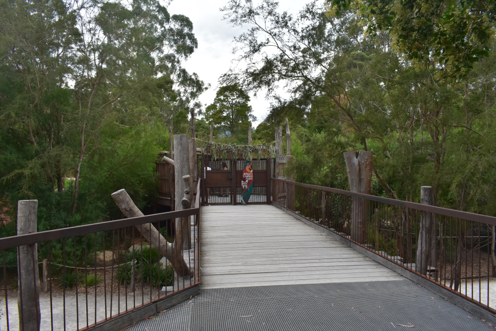 Kangaroo Country via Koala Forest