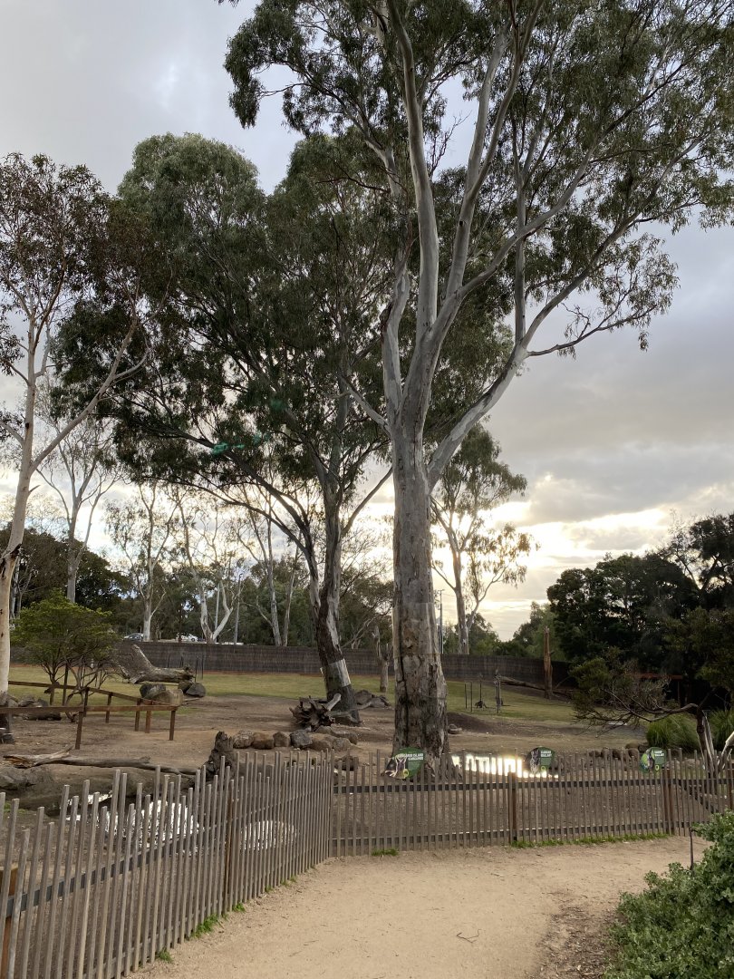 Kangaroo, Emu and Wallaby Exhibit