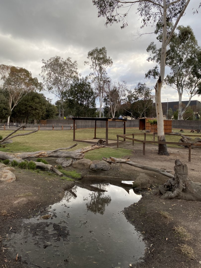Kangaroo, Emu and Wallaby exhibit