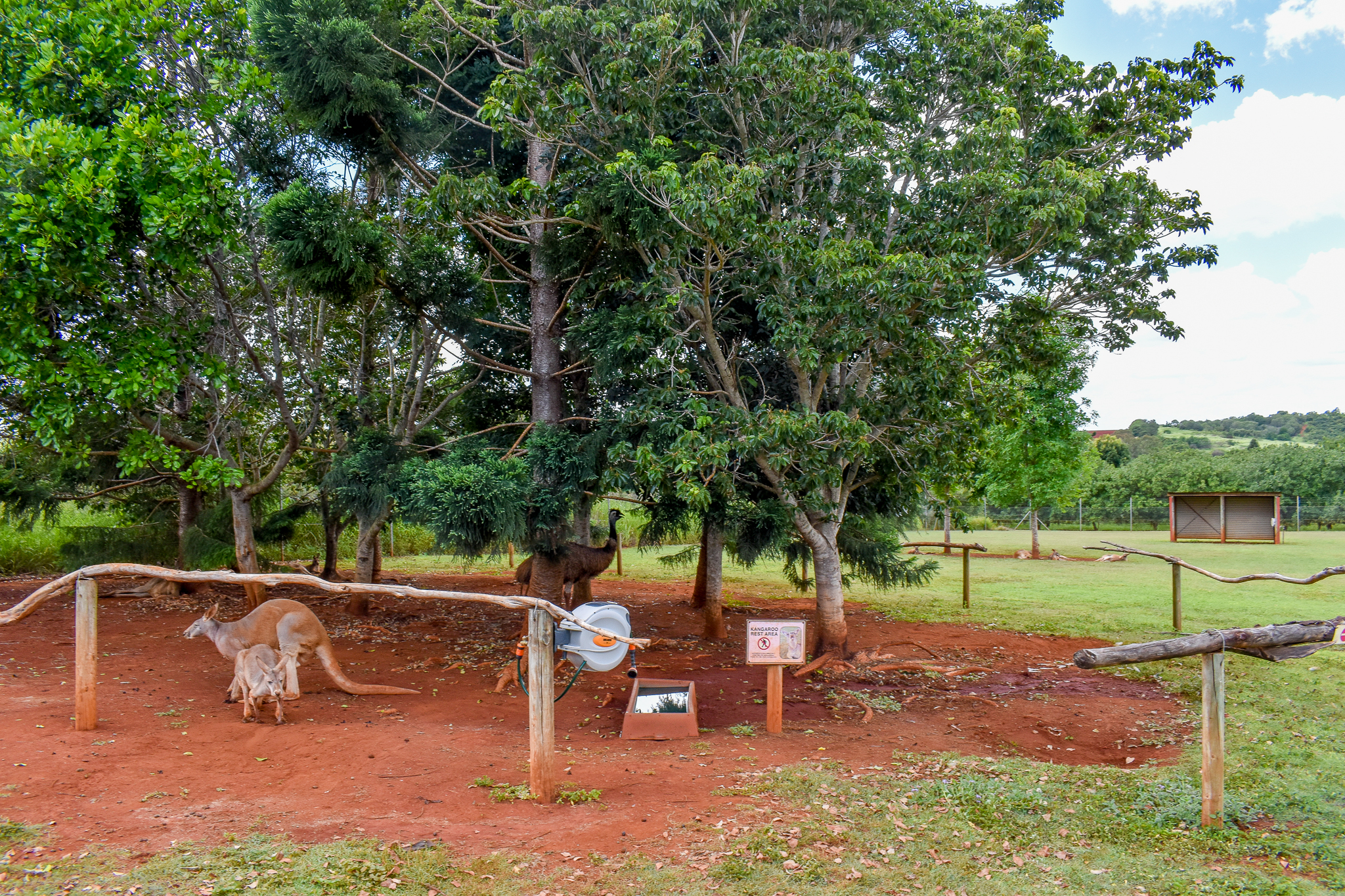Kangaroo/Emu Enclosure