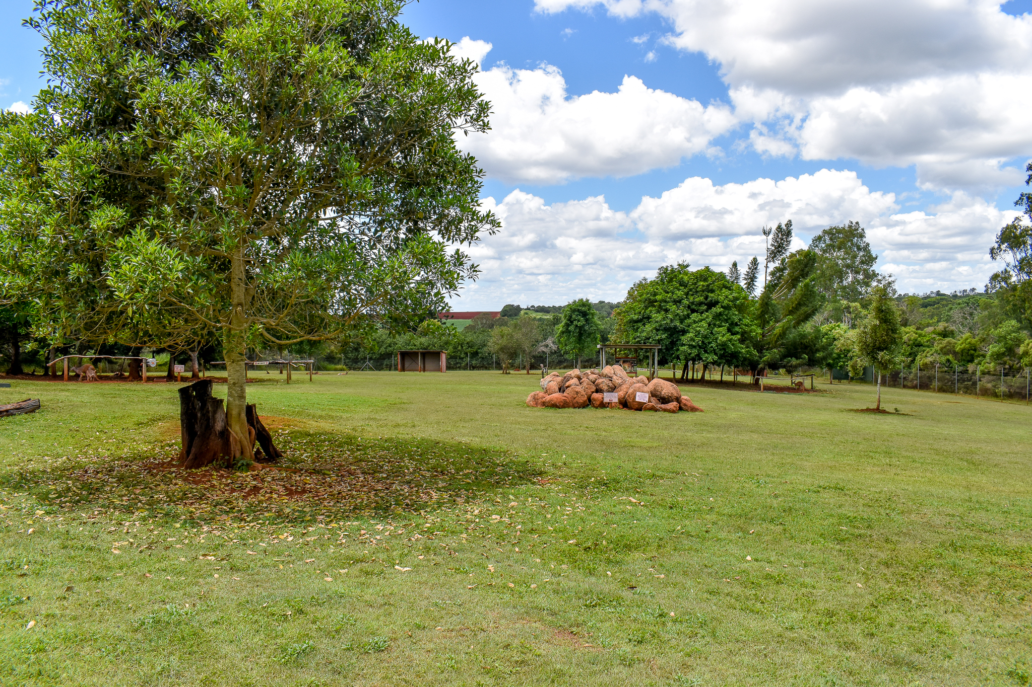 Kangaroo/Emu Enclosure