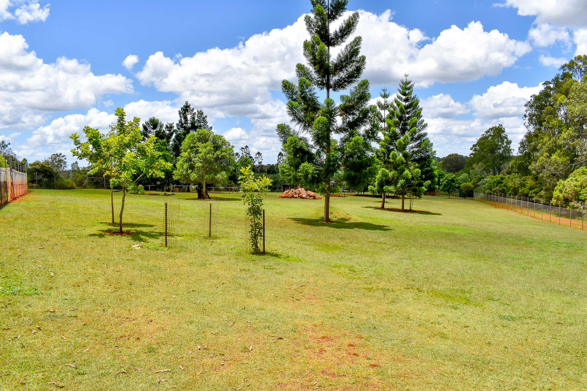 Kangaroo/Emu Enclosure