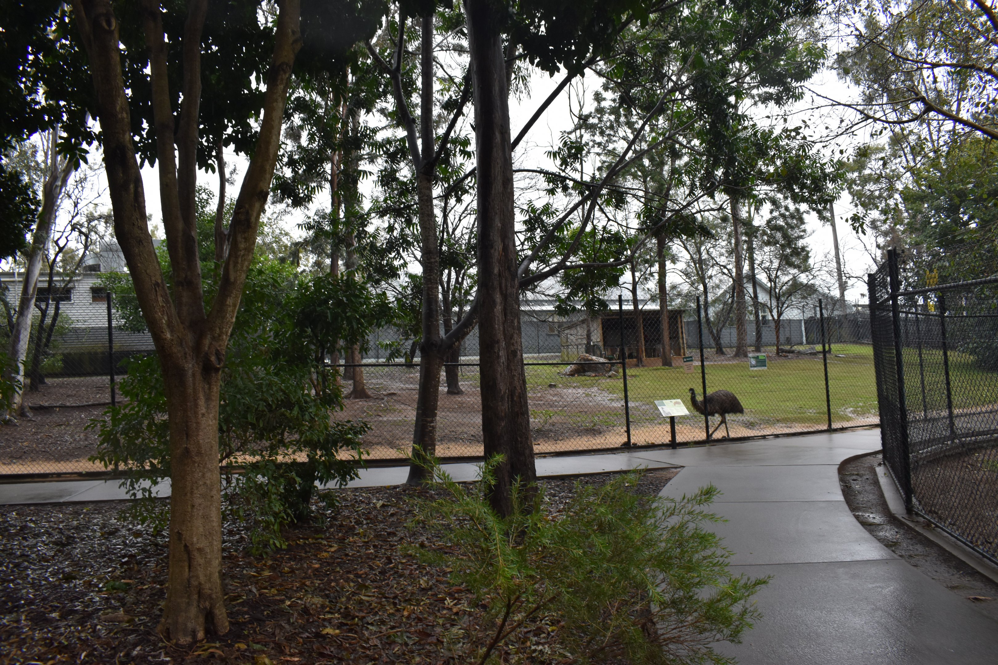 Kangaroo/Emu Enclosure