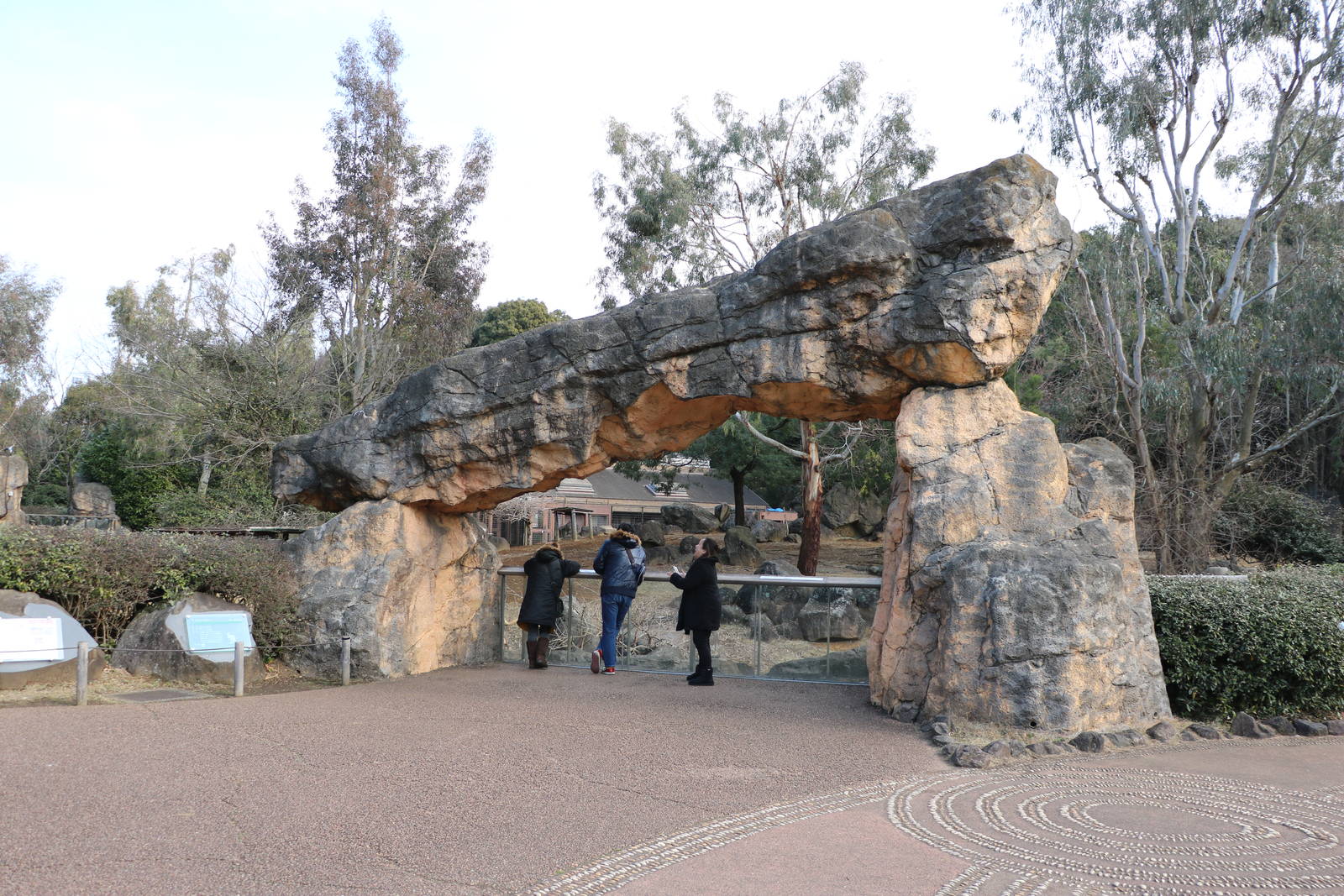 Kangaroo & emu vieweing area, February 2016