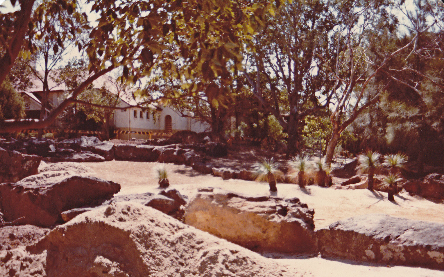 Kangaroo enclosure - 1982