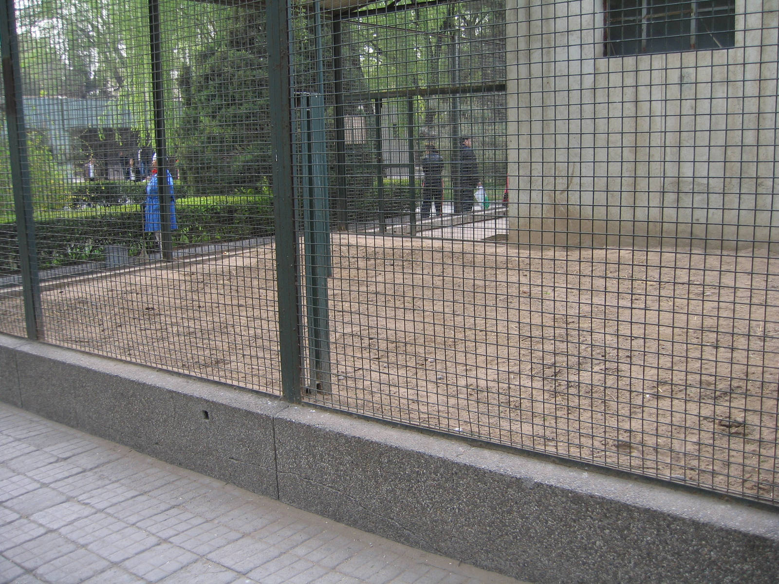 Kangaroo enclosure - Beijing Zoo