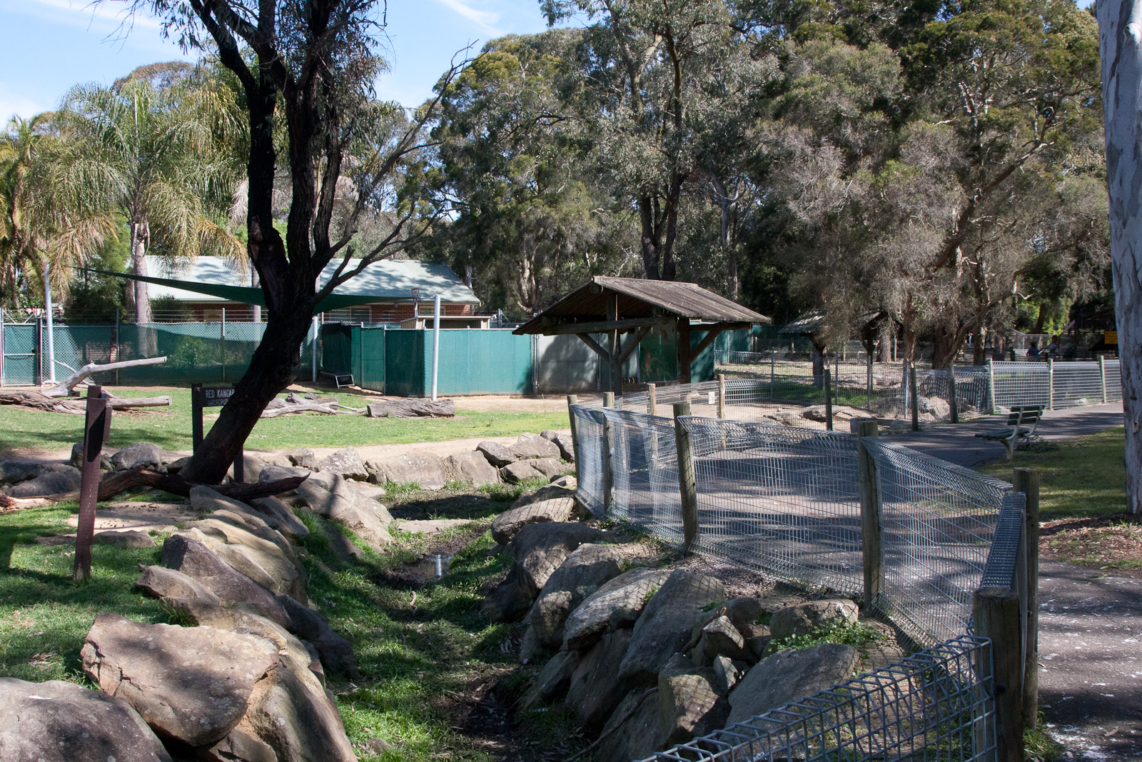 Kangaroo enclosure, Sept 2011