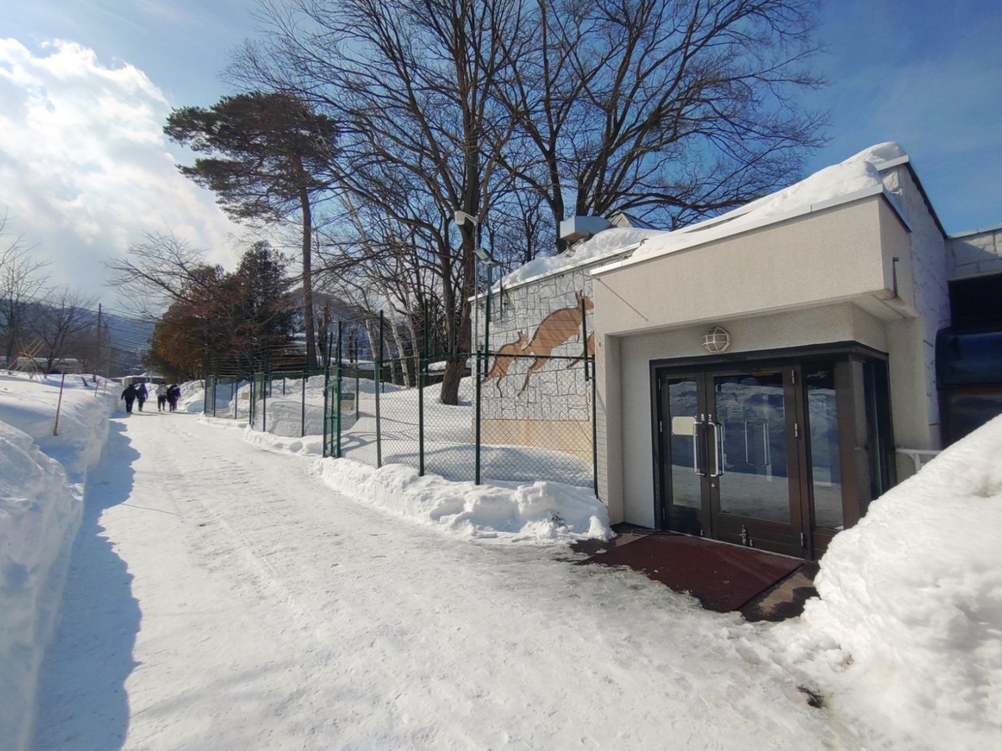 Kangaroo exhibit at Maruyama Zoo