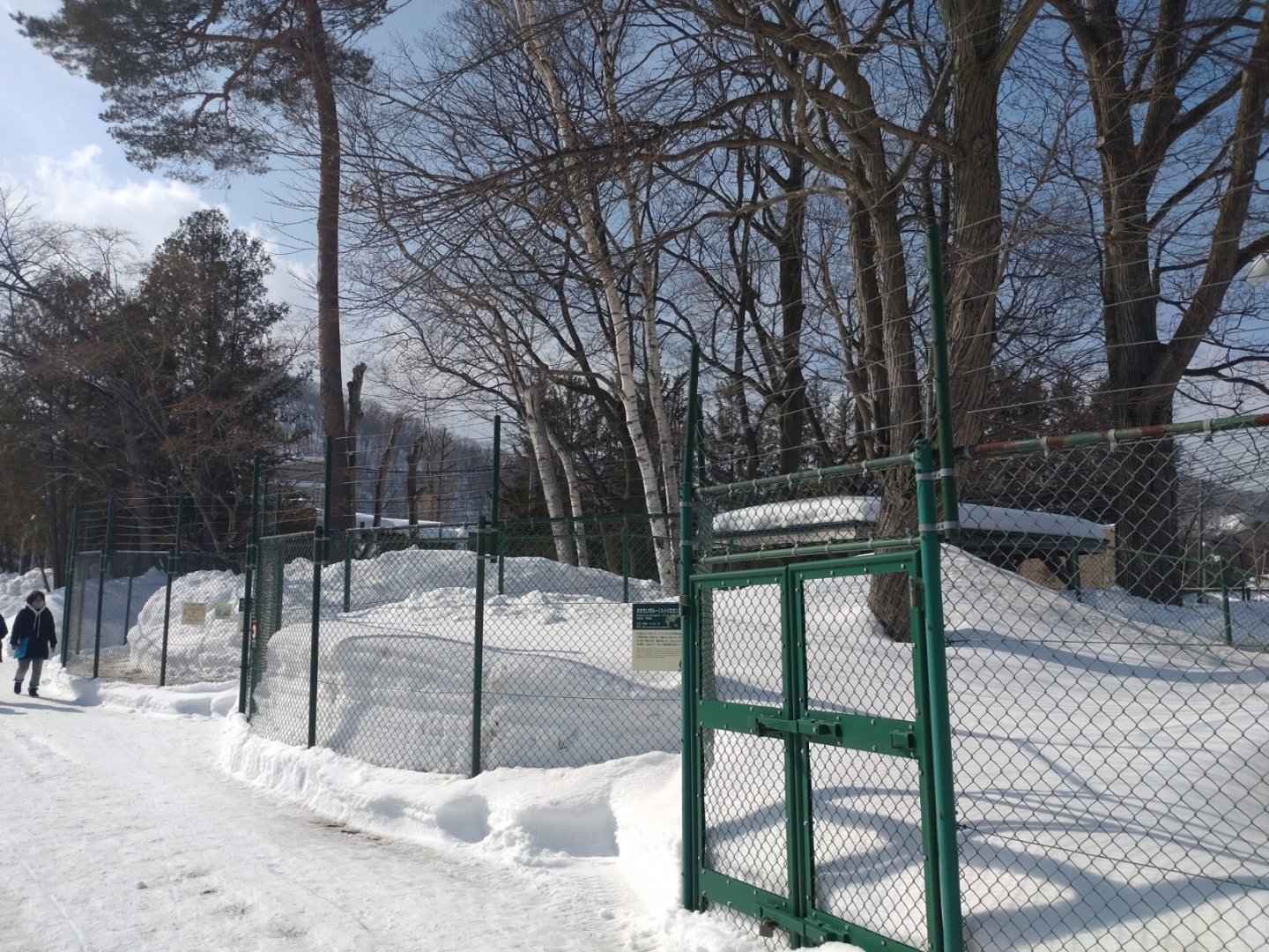 Kangaroo exhibit at Maruyama Zoo