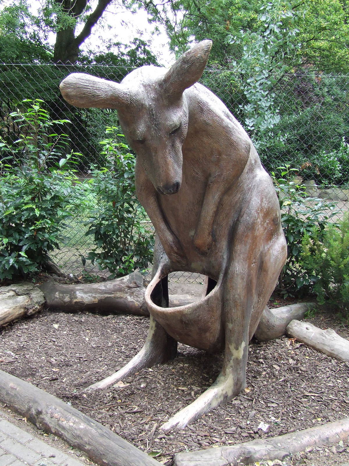 Kangaroo, for visitors