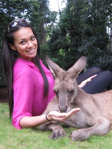 Kangaroo Hand Feeding