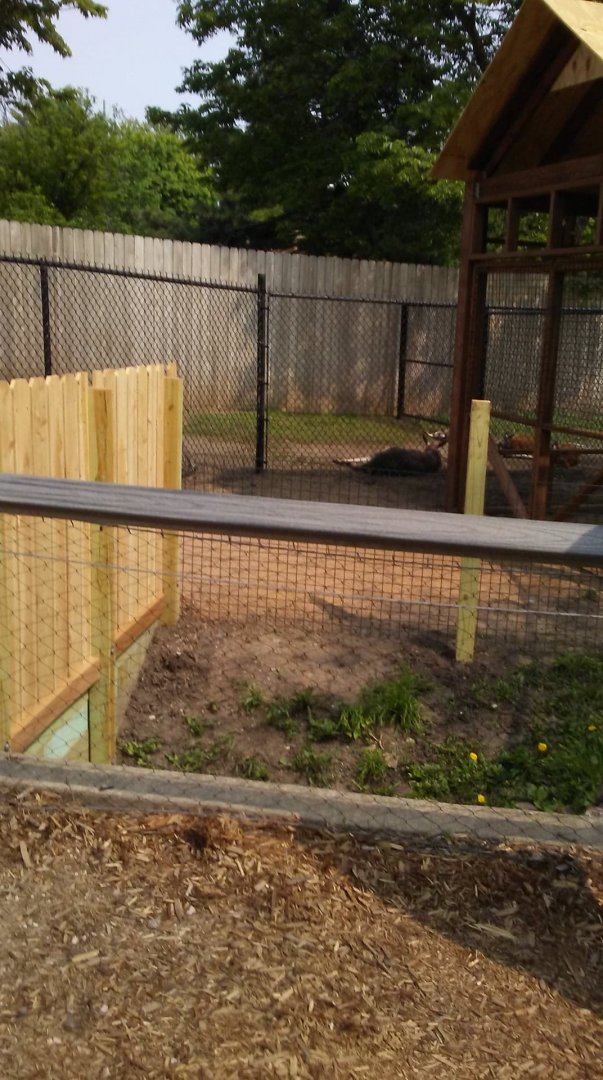 Kangaroo Holding Area